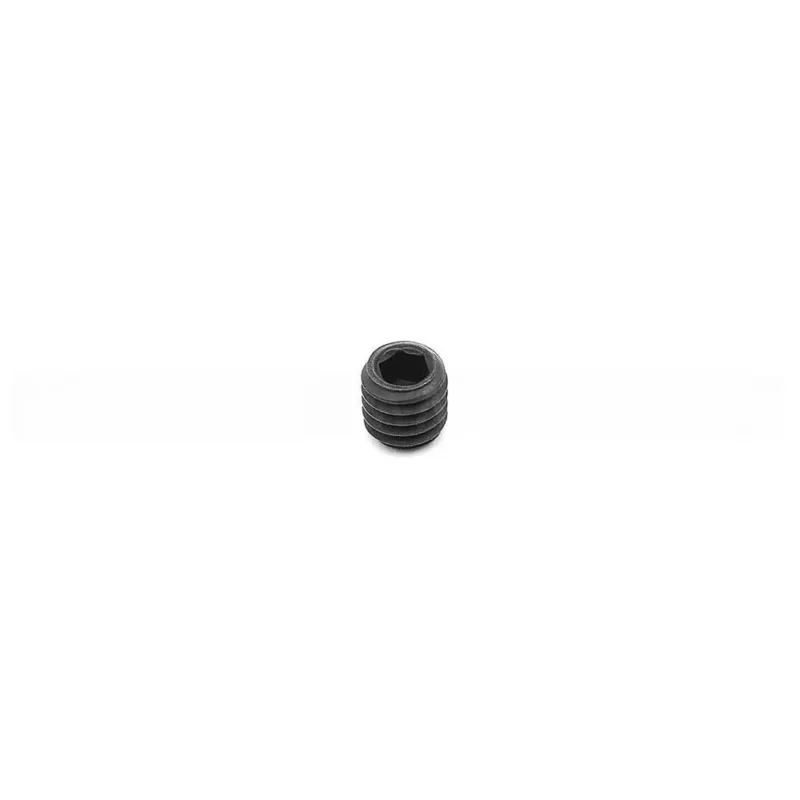 Eemann Tech Spare Screw 3mm for Eemann Tech Triggers for CZ